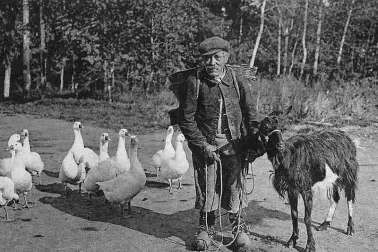 Le pere aux oies et sa chevre