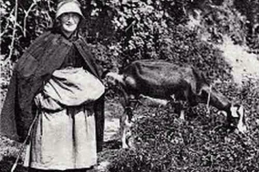 Vieille paysanne gardant sa chevre