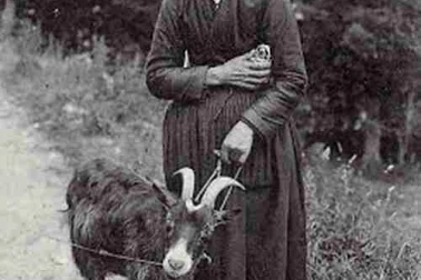 Vieille gardeuse de chevres
