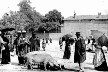 Scene typique sur le champ de foire