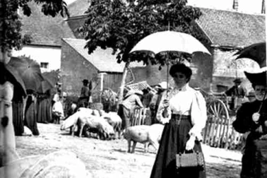 Cantal La foire aux cochons en 1903