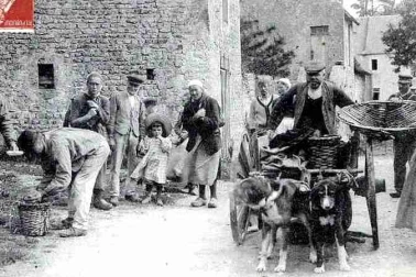 Scenes de la vie des campagnes marchands au marche et attelage de chiens