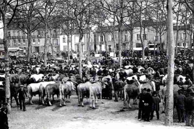 Le foirail a bestiaux un jour de foire