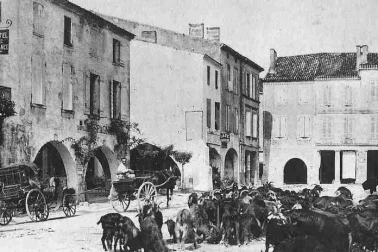 Un coin de la place du marche