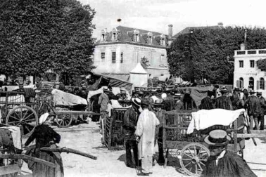 Le marche aux porcs