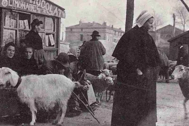 Sur la foire les troupeaus