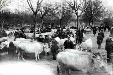 La foire aux boeufs