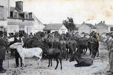 La foire aux chevaux
