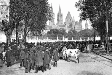 La place du bourg un jour de foire