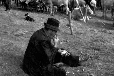 Cantal le casse-croute du paysan au marche aux bovins a la foire