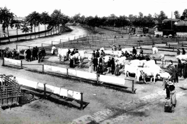 Le champ de foire