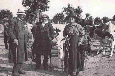 Champ de foire groupe de maquignons