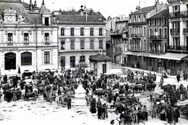 Le marche aux boeufs sur la place du village