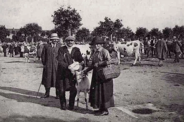 Champ de foire un groupe de maquignons