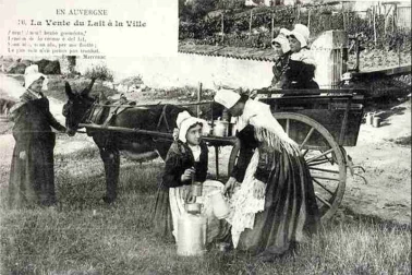 En Auvergne  la vente du lait a la ville