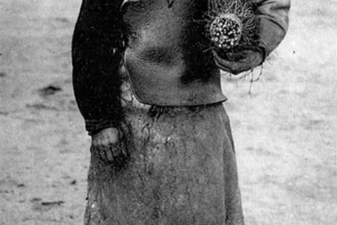 Un balaitier