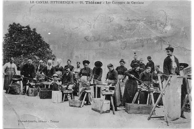 Les coupeurs de gentiane