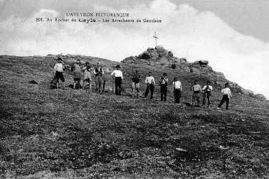 Au-rocher-du-cayla-les-arracheurs-de-gentiane