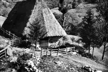 Vieille grange au plomb-du-cantal