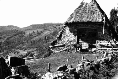 Nierveeze commune de Thiezac une grange en Chaume