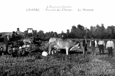 Travaux des Champs - La Moisson