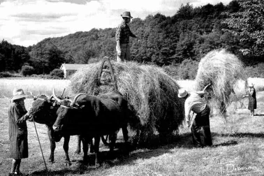 Cantal petit metier La fenaison