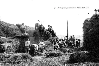 Battage de Grains dans la plaine