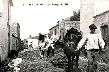 Le battage du Ble en 1908