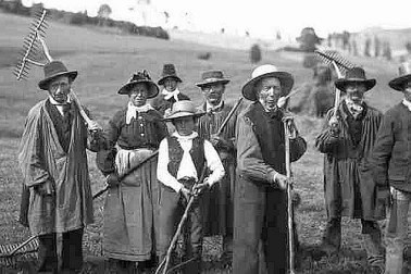 Cantal le temps des fenaisons en 1890 Meme les enfants apportaient leur aide