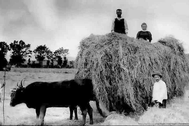 Cantal Fenaison LES FOINS EN 1894