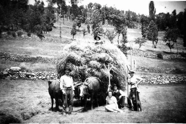 Cantal la fenaison moisson de Ginette Poulverelles