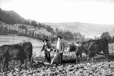 Cantal petit metier Le Labour dans le Cantal en 1900