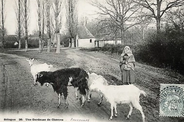 Une gardeuse des chevres Paysages de Souesmes en 1908.