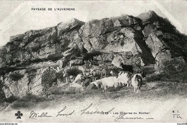 Les chevres du rocher Paysage de l Auvergne