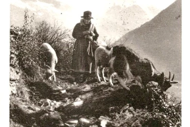 Gardeuse de chevres en Savoie