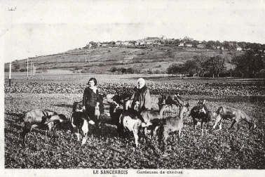 Gardeuse de chevres