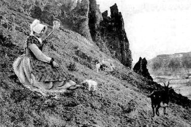 Cantal La bergere et ses chevres