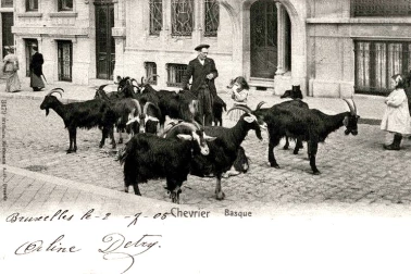 Un chevrier Basque