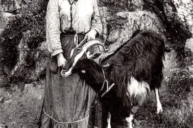 Une chevriere dans le poitou