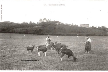 Saône et Loire  Gardeuses de chèvres