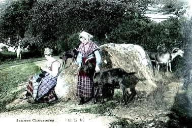 Jeune chevriere