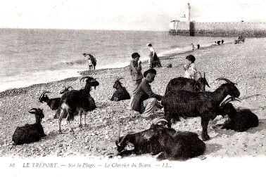 Sur la plage le chevrier et du Bearn