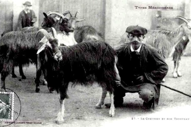Types Meridionaux Le Chevrier et son Troupeau