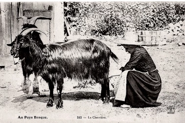 La chevriere au Pays Basque