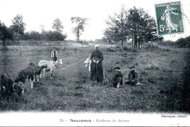 Gardeuse de chevres Souesmes