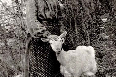 Jeune gardeuse de chevres
