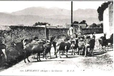 Lavelanet - Le Chevrier