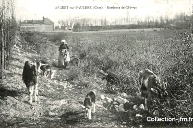 Gardeuse de chevre a Argent sur Sauldre