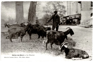 Salies-de-Bearn Le chevrier