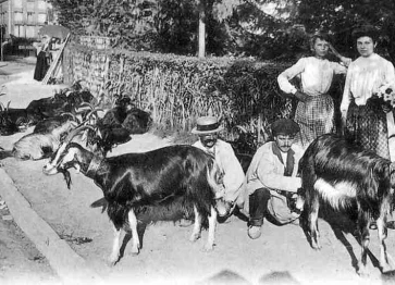 Chevriers